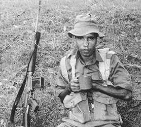 Postcards of Honour